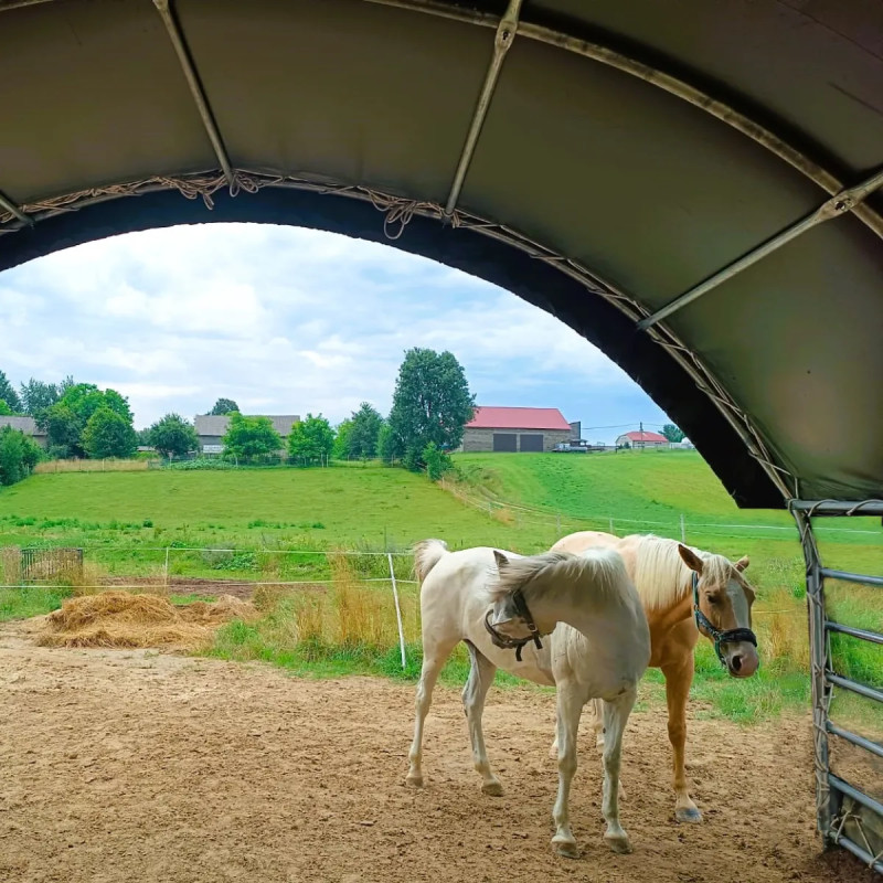 Mobiele weidetent voor paarden 6x6 m CTL2020