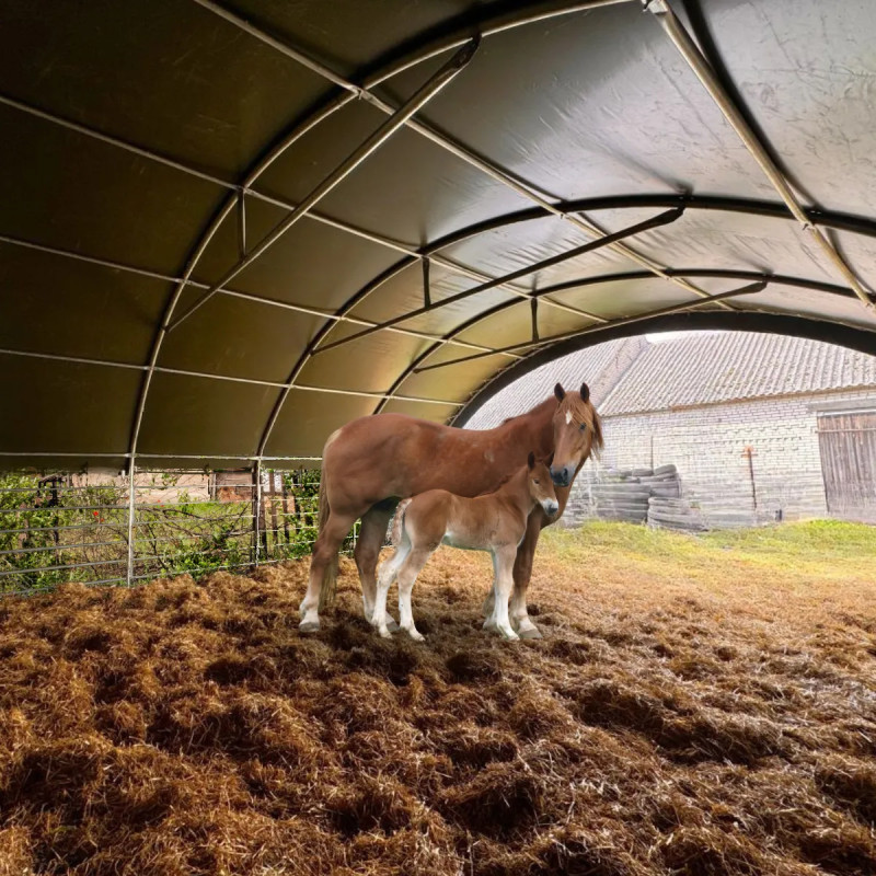 Telheiro de pastagem para animais de pastagem de 8x8 m CTL2626