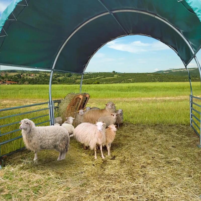 Abri de pâturage  4x4 m CTL1313