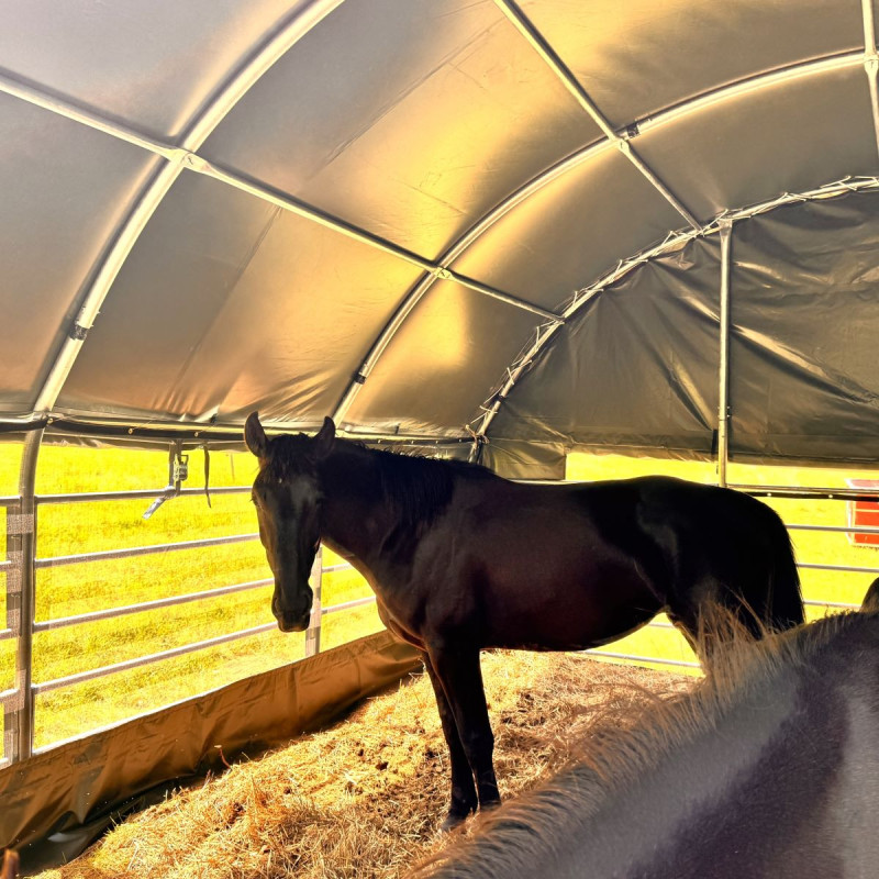 Weidetenten voor paarden 6×6 m GSCT2020 Premium