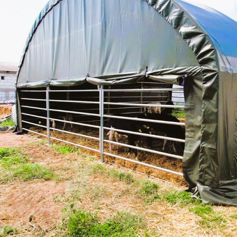 Zagroda dla zwierząt 8x8 m GSCT2626 Premium