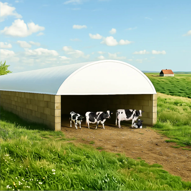 Obory namiotowe dla krówWiata na bydło opasowe 15×12 m – nowoczesne rozwiązanie dla hodowli
Namiotowa wiata na bydło opasowe o wymiarach 15×12 metrów to idealna alternatywa dla tradycyjnej obory murowanej, zaprojektowana z myślą o gospodarstwach, które potrzebują trwałej, ale jednocześnie mobilnej i łatwej w montażu infrastruktury. Konstrukcja namiotowa doskonale sprawdza się w warunkach całorocznej hodowli bydła mięsnego, zapewniając zwierzętom odpowiednią ochronę przed deszczem, śniegiem i wiatrem, a hodowcy – pełną funkcjonalność i możliwość szybkiej adaptacji obiektu do zmieniających się potrzeb.Stalowy szkielet wykonany z ocynkowanych profili nośnych tworzy solidną ramę opartą na podwójnych łukach, gwarantujących wysoką odporność na obciążenia wiatrowe i śniegowe. Pokrycie z plandeki PVC o gramaturze 900 g/m² charakteryzuje się dużą trwałością, elastycznością i odpornością na promieniowanie UV. Całość może być montowana na blokach betonowych, które tworzą funkcjonalny i wytrzymały mur obwodowy.

