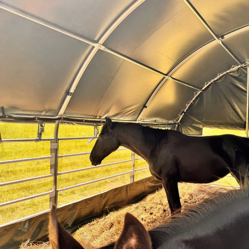 Livestock field shelters 8x8 m GSCT2626 Premium