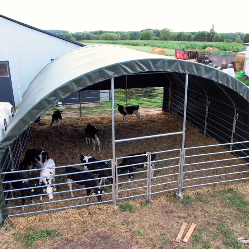 Abri pour pour bétail 8x8 m GSCT2626 Premium