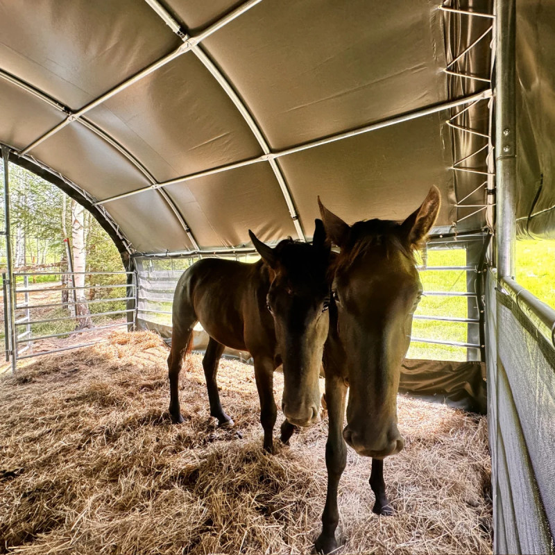 Weidetenten voor paarden 6×6 m GSCT2020 Premium