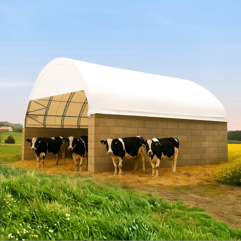 Shed for fattening cattle 15×12 m double truss frame