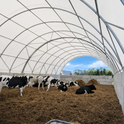 12x12 m liela nobarošanas klēts 12x12 m liela nobarošanas klēts