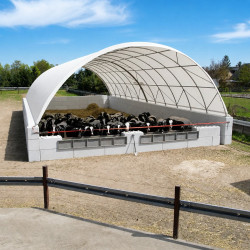 Granero de engorde de 12x12 m