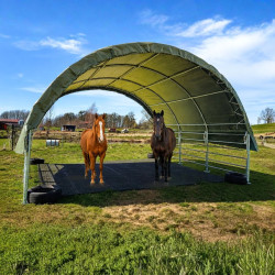 Weideunterstand 6x6 m CTL2020