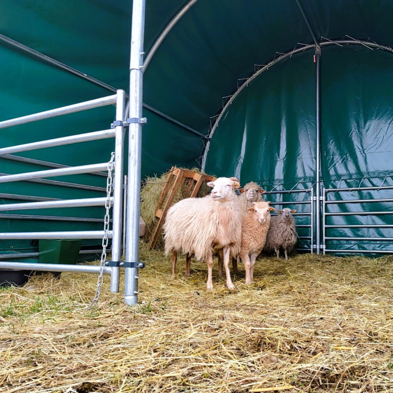 Loomade varjualune 4×4 m CT1313
