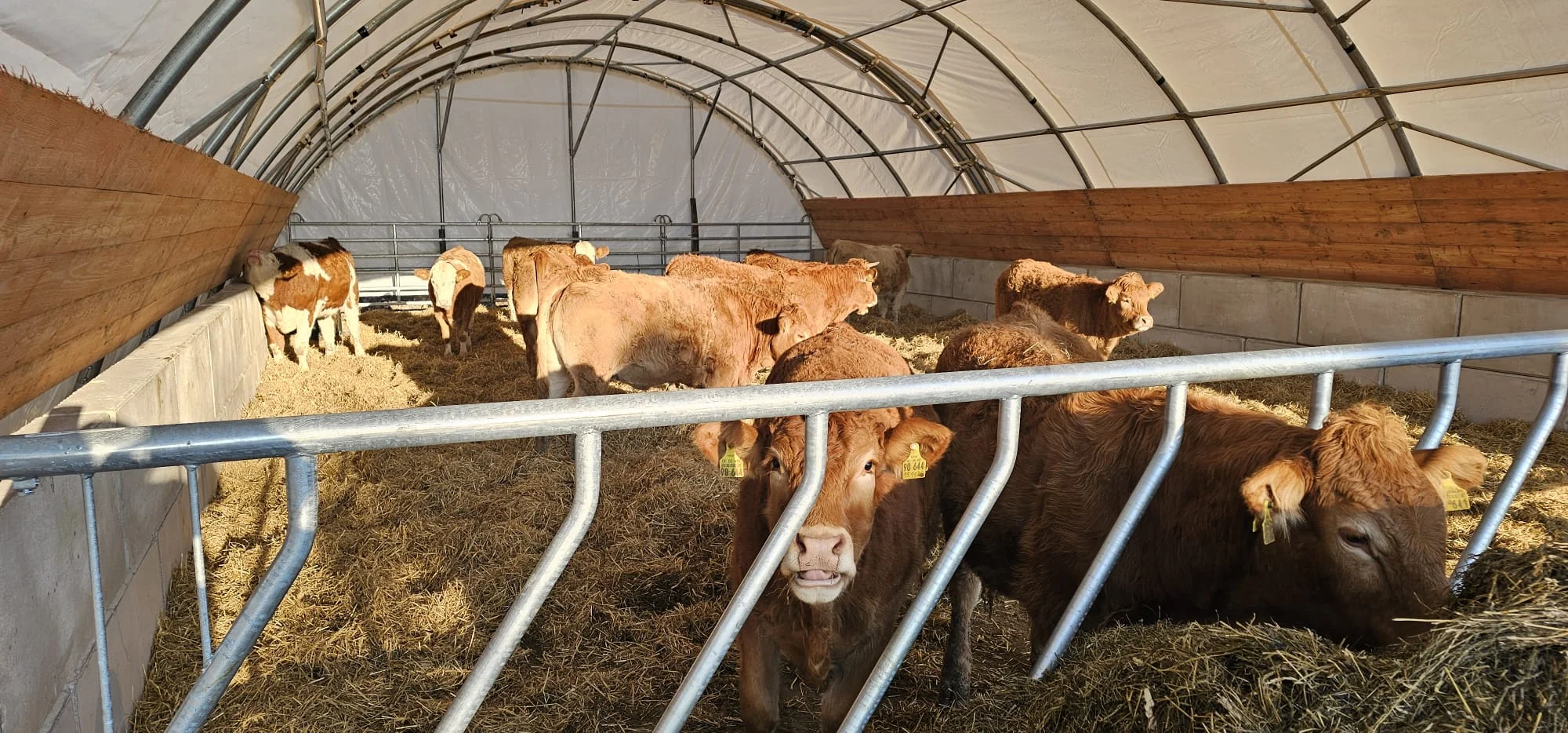 Obora namiotowa 10x18 m