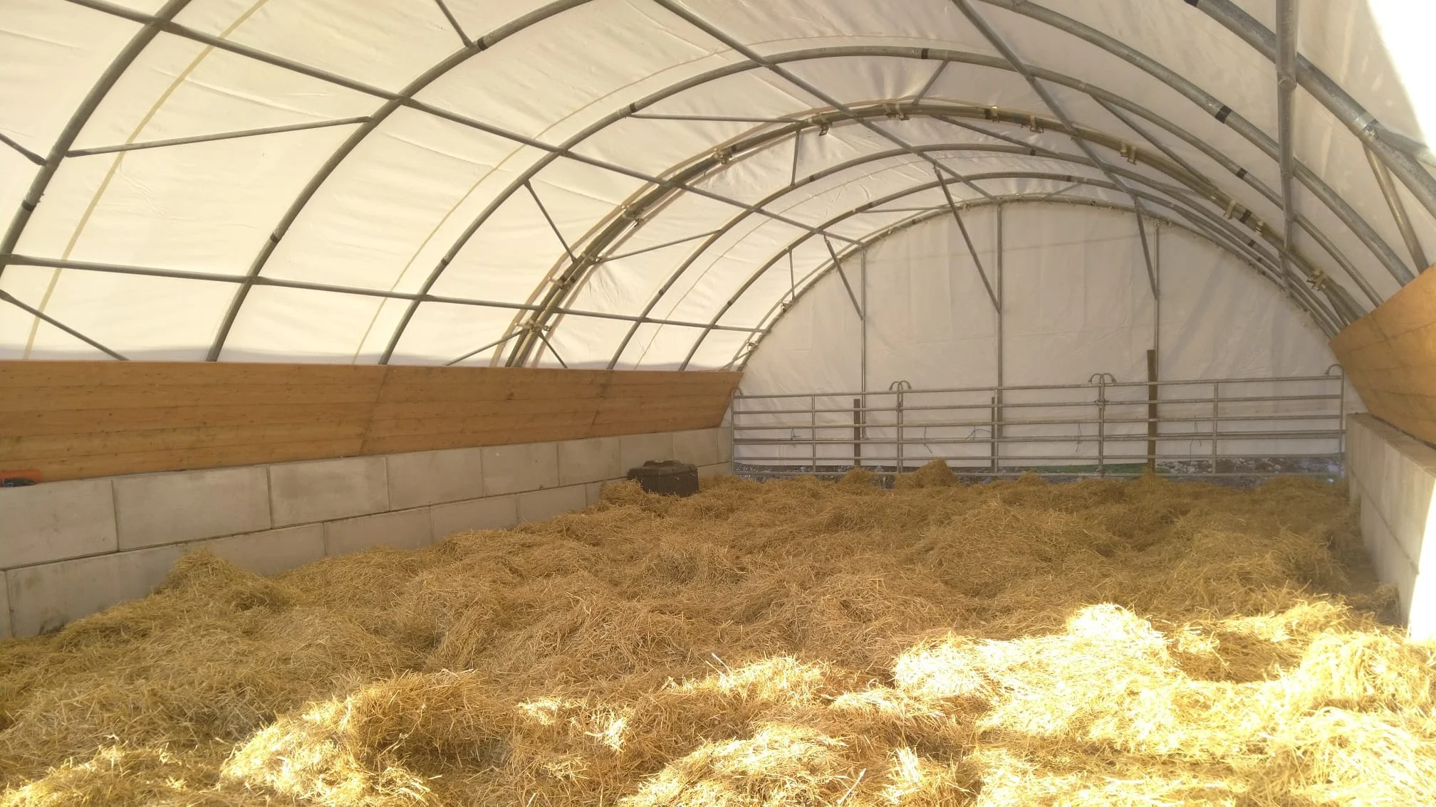 Obora na opasy inamiot.pl