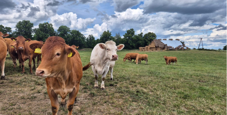 Uma visita com uma máquina fotográfica />
  </div>

                        